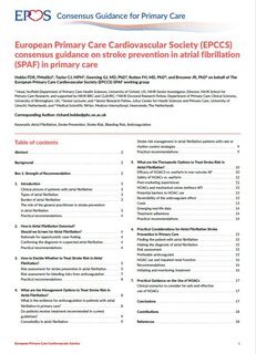 EPCCS consensus guidance on stroke prevention in atrial fibrillation (SPAF) in primary care