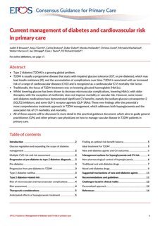 Current management of diabetes and cardiovascular risk in primary care 