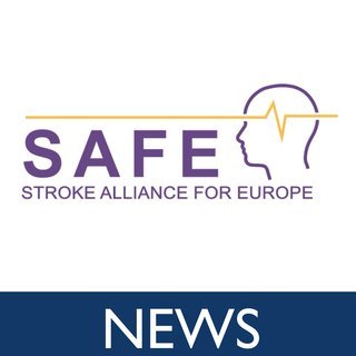 Stroke identified as the second leading cause of death from cardiovascular disease and a major contributor of acquired long-term disability