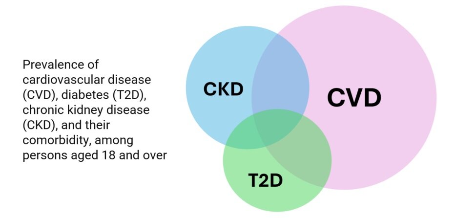 Prevalence of CVD - CKD & T2D